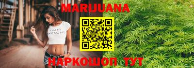 прущие крисы Новодвинск