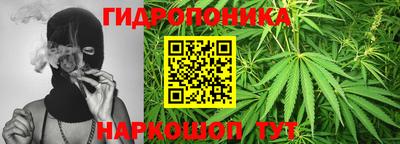 прущие крисы Новодвинск